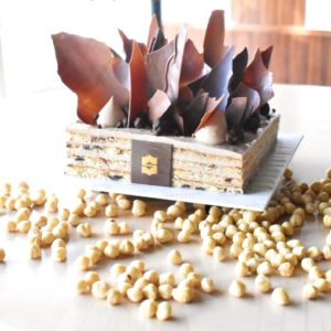 Hazelnut Milk Chocolate Cake Colombo